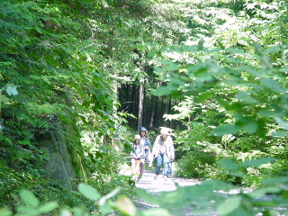 �N���b�N����ƐÎ~���\�����܂�